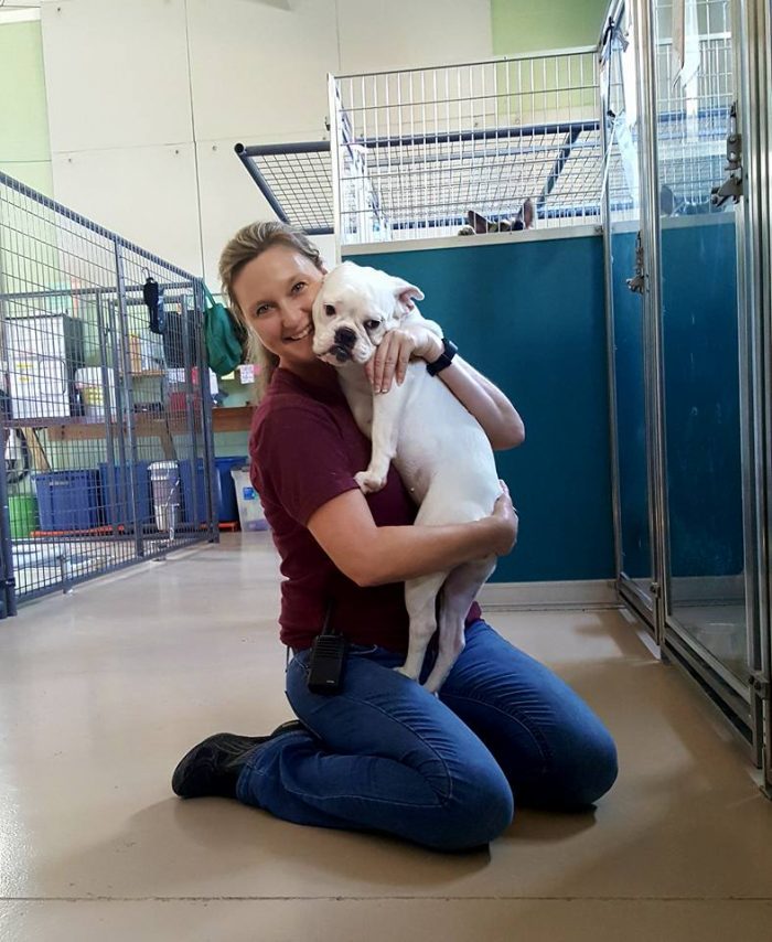 Luxury Pets KY About Luxury Pet Services