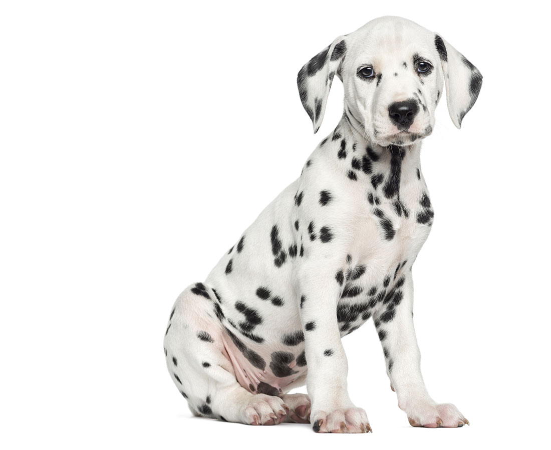 p-art-design-blvd--amsterdam-jazz-festival qode interactive strata